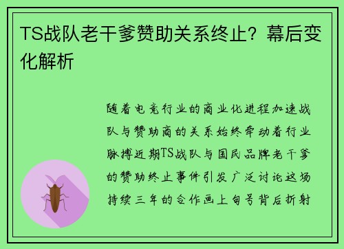 TS战队老干爹赞助关系终止？幕后变化解析